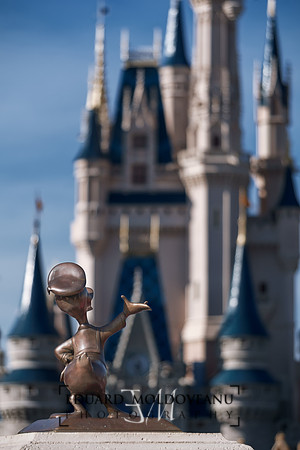 I present you Cinderella's Castle