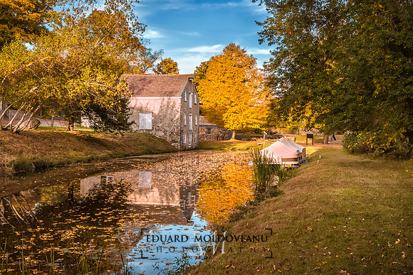 Fall colors