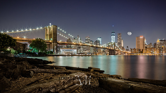Dumbo after midnight